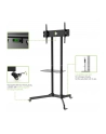 Techly Stojak mobilny do TV LCD/LED/Plazma 30''-65'' 60kg VESA pochylany z półką - nr 22