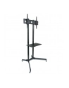 Techly Stojak mobilny do TV LCD/LED/Plazma 30''-65'' 60kg VESA pochylany z półką - nr 23