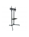 Techly Stojak mobilny do TV LCD/LED/Plazma 30''-65'' 60kg VESA pochylany z półką - nr 2