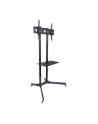 Techly Stojak mobilny do TV LCD/LED/Plazma 30''-65'' 60kg VESA pochylany z półką - nr 38