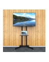 Techly Stojak mobilny do TV LCD/LED/Plazma 30''-65'' 60kg VESA pochylany z półką - nr 44