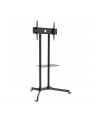 Techly Stojak mobilny do TV LCD/LED/Plazma 30''-65'' 60kg VESA pochylany z półką - nr 51