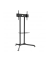 Techly Stojak mobilny do TV LCD/LED/Plazma 30''-65'' 60kg VESA pochylany z półką - nr 54