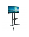 Techly Stojak mobilny do TV LCD/LED/Plazma 30''-65'' 60kg VESA pochylany z półką - nr 61