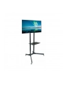 Techly Stojak mobilny do TV LCD/LED/Plazma 30''-65'' 60kg VESA pochylany z półką - nr 8