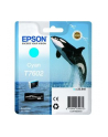 T7602 Ink Cartridge Cyan UltraChrome HD - nr 14