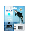 T7602 Ink Cartridge Cyan UltraChrome HD - nr 17