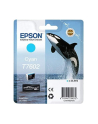 T7602 Ink Cartridge Cyan UltraChrome HD - nr 25
