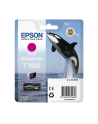 T7603 Ink Cartridge Vivid Magenta UltraChrome HD - nr 1