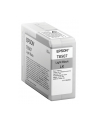 Singlepack Photo Light Black cartridge, T850700 - nr 21