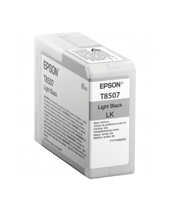 Singlepack Photo Light Black cartridge, T850700 nr 1