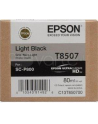 Singlepack Photo Light Black cartridge, T850700 - nr 23