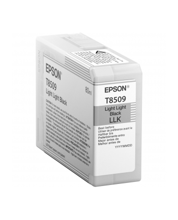 Singlepack Photo Light Light Black cartridge, T850900 nr 1