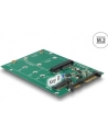 Delock 22-pinowy konwerter SATA -> 1 x M.2 NGFF + 1 x mSATA - nr 25
