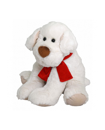 BEPPE Pies Ricco 28 cm biały z kokardą