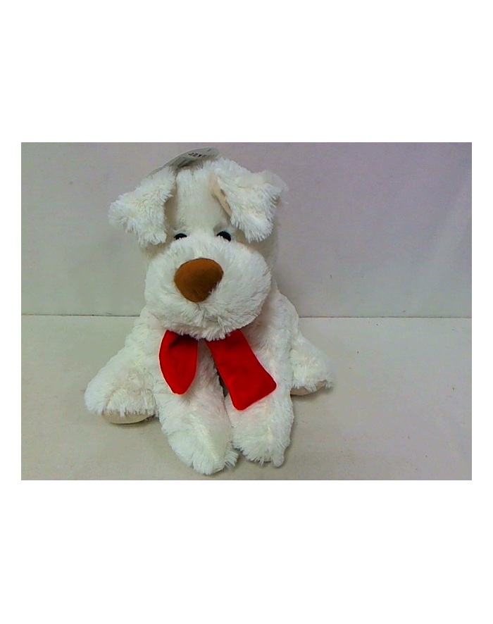 BEPPE Pies Ricco 28 cm biały z kokardą główny