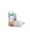 ŻARÓWKA ABILITE E27 MANGO ''''MLECZNA'''' B.CIEPŁY 20W/230V 1600lm kąt św. 270Â° (RETRO) M70 - nr 2