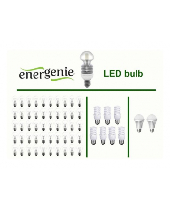 EnerGenie (by Gembird) Energenie żarówka LED E27 2700K 1350LM 10W CRI85 330'' (odpowiednik 80W)