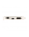 MSI GeForce GT 710, 2GB DDR3 (64 Bit), HDMI, DVI, D-Sub - nr 29