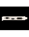 MSI GeForce GT 710, 2GB DDR3 (64 Bit), HDMI, DVI, D-Sub - nr 53