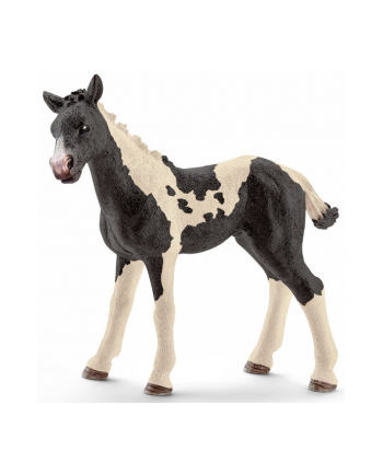 SCHLEICH Łaciaty źrebak