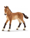 SCHLEICH Źrebak rasy tennessee - nr 8