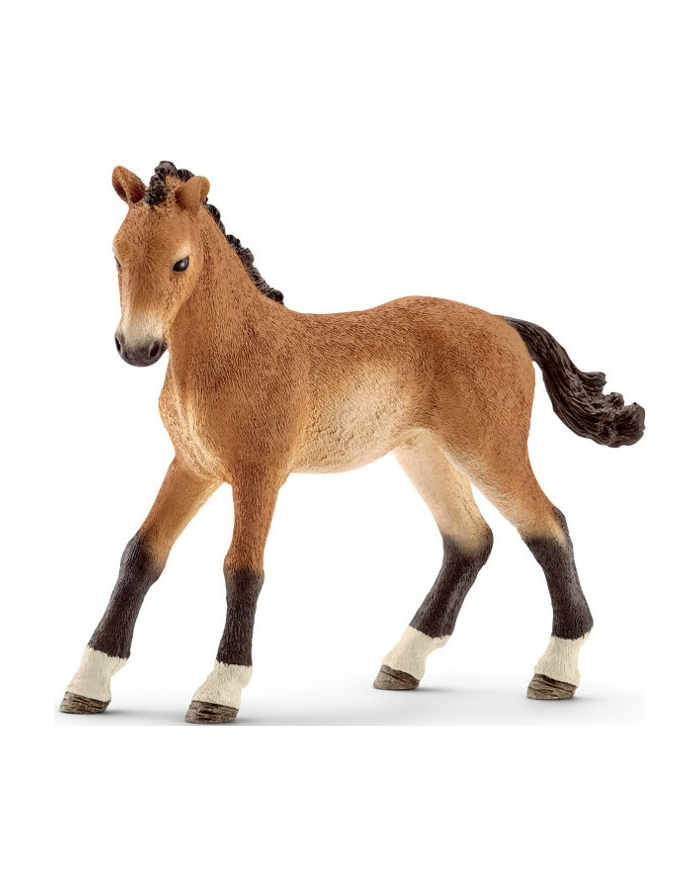 SCHLEICH Źrebak rasy tennessee główny