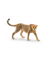 SCHLEICH Samica geparda - nr 9