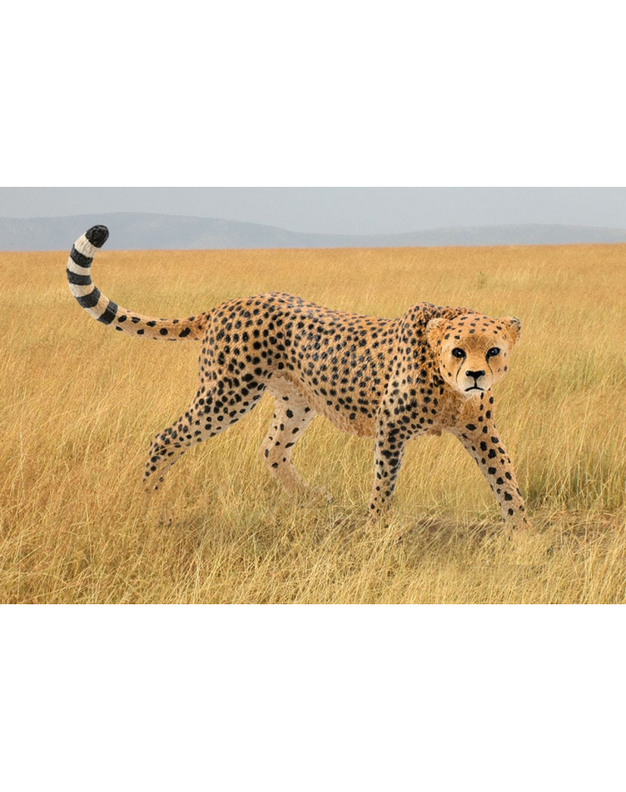 SCHLEICH Samica geparda główny