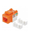 Intellinet Network Solutions Intellinet Moduł Keystone Cat5e UTP RJ45 zaciskany pomarańczowy - nr 9