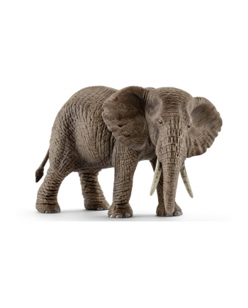 SCHLEICH Samica słonia afrykańskiego