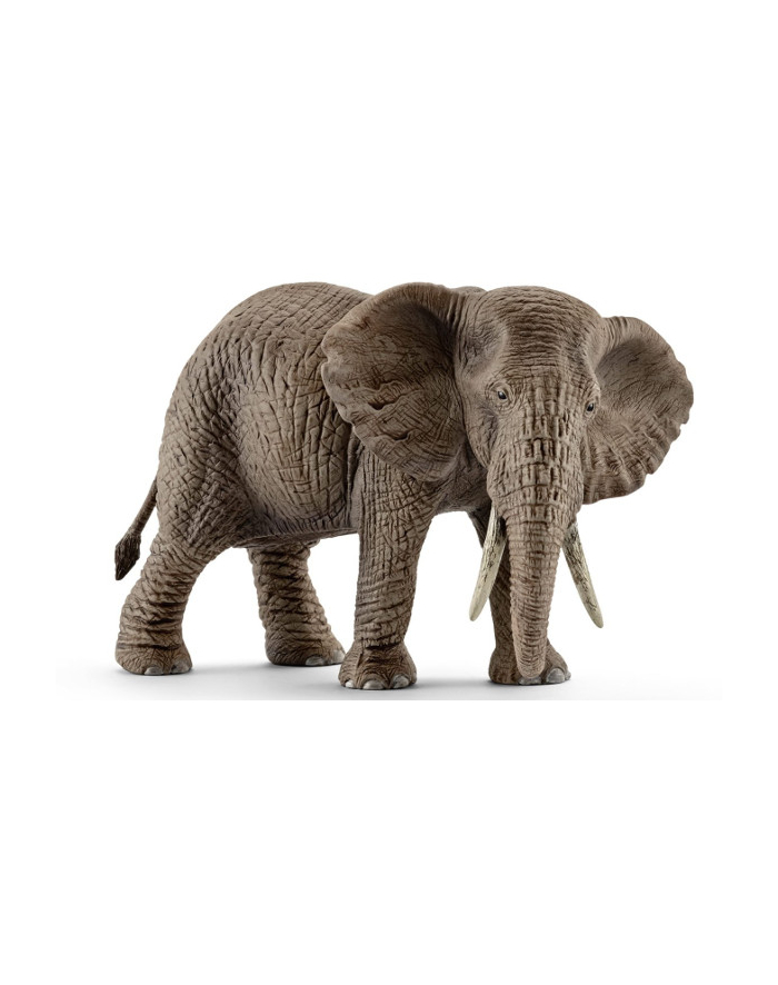 SCHLEICH Samica słonia afrykańskiego główny