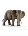 SCHLEICH Samica słonia afrykańskiego - nr 3