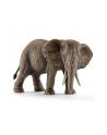 SCHLEICH Samica słonia afrykańskiego - nr 4