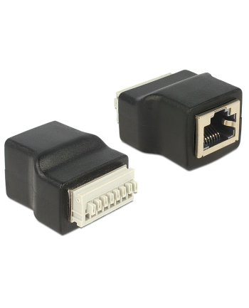 Delock Adapter RJ45 żeński > Terminal Block (push button) 8 pin