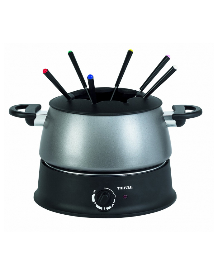 Tefal Fondue EF 3000.10 1200W silver/bk główny
