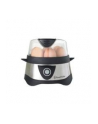 Russell Hobbs Jajowar Stylo silver/bk - nr 17