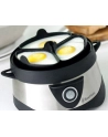 Russell Hobbs Jajowar Stylo silver/bk - nr 31
