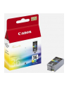 Tusz CANON CLI-36 Colour - nr 7