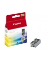 Tusz CANON CLI-36 Colour - nr 3