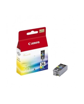 Tusz CANON CLI-36 Colour