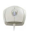 Cherry Wheel Mouse Optical - USB - biała - nr 44