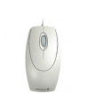 Cherry Wheel Mouse Optical - USB - biała - nr 62