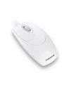 Cherry Wheel Mouse Optical - USB - biała - nr 65