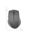 Speedlink CALADO Silent Mouse - cicha myszka bezprzewodowa - nr 25
