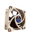 Noctua NF-A6x25 FLX 60mm - nr 23