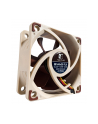Noctua NF-A6x25 FLX 60x60x25 - nr 5