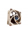 Noctua NF-A6x25 FLX 60x60x25 - nr 17