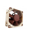 Noctua NF-A6x25 FLX 60x60x25 - nr 19
