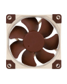 Noctua NF-A8 PWM - 80mm - nr 9